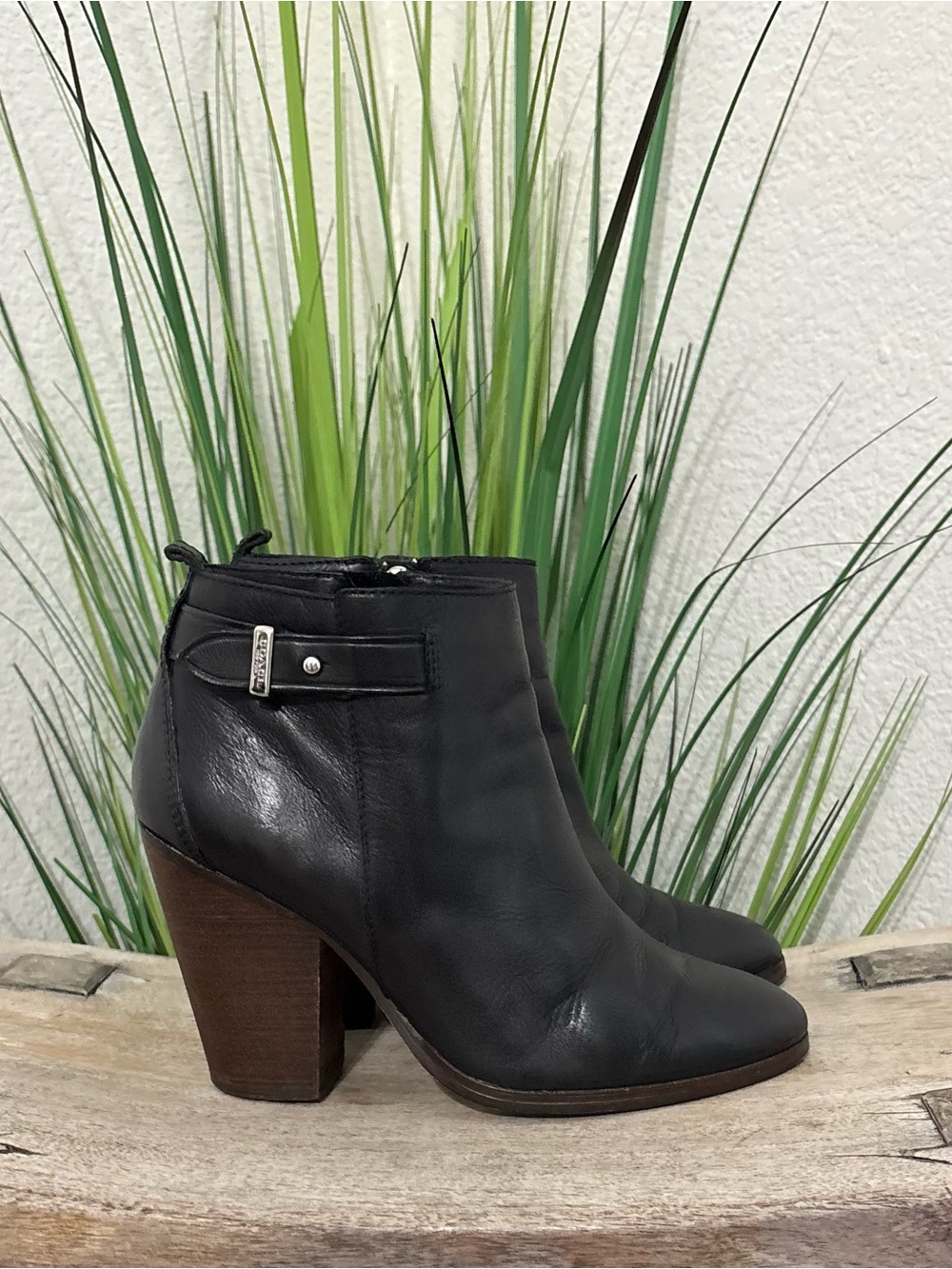 Coach Hewes Black Booties